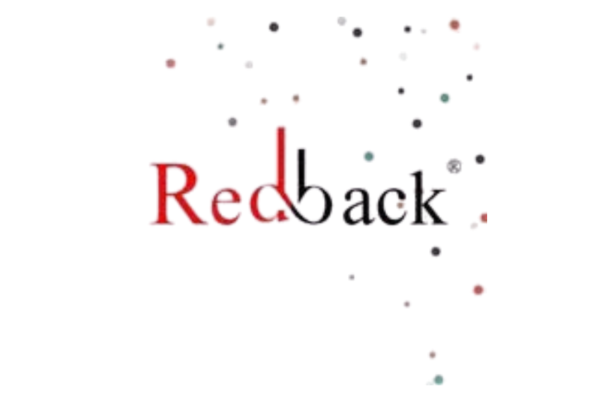 Redback IT Solutions